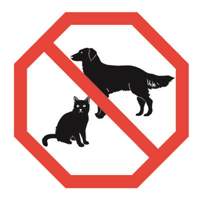 PICTOGRAM NO ANIMALS